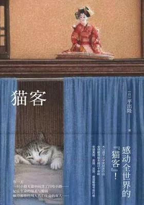 猫客免费下载