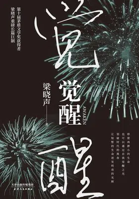 觉醒（2020年精装版）免费下载