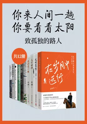 你来人间一趟，你要看看太阳：致孤独的路人（共12册）封面