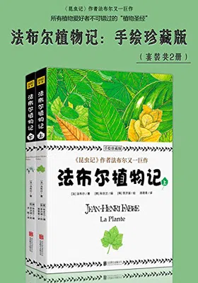 法布尔植物记：手绘珍藏版（套装共2册）免费下载