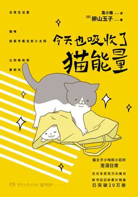 今天也吸收了猫能量免费下载