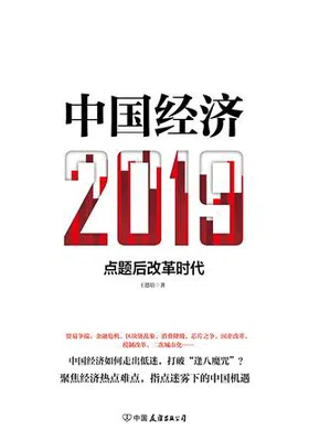 中国经济2019免费下载