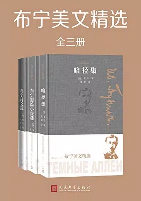 布宁美文精选（全3册）封面