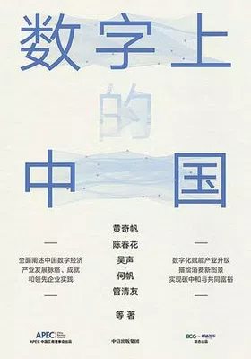 数字上的中国封面图