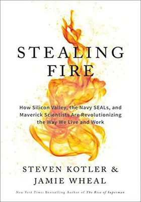 Stealing Fire免费下载